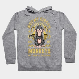 Not My Circus Not My Monkeys But I Know All The Clowns Hoodie